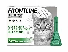 Frontline Plus פרונטליין פלוס לחתול